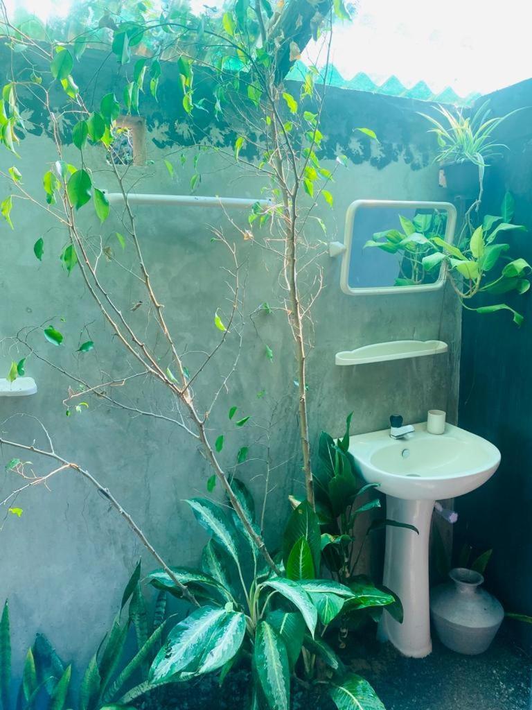 Malabar Home Stay Jaffna Bilik gambar